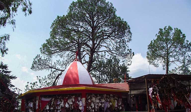 Chitai golu devta temple almora