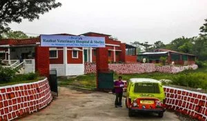 Raahat ngo hospital dehradun