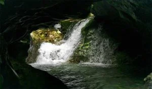 Robber's Cave dehradun