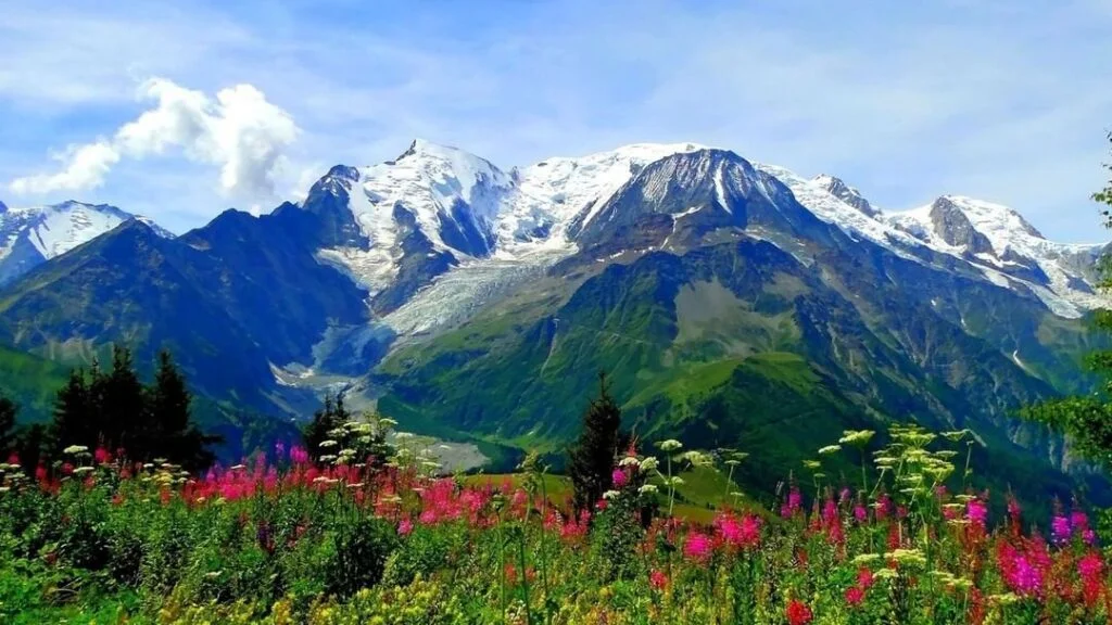 Valley of Flowers trek, Uttarakhand