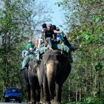 tourists-ramnagar-hindustan-ramnagar-reserve-elephant-enjoying_025e1d74-9737-11e8-a9be-0a3dd955ac48