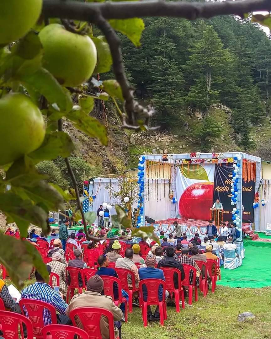 Harsil Apple Festival Ruby Red Apples famous for its apples produces