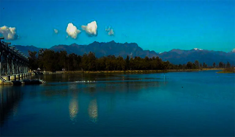 Asan Barrage Bird Sanctuary dehradun