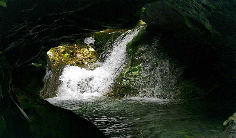 Robber's Cave Dehradun, Timings, Entry Fee, How to reach | GuchhuPani