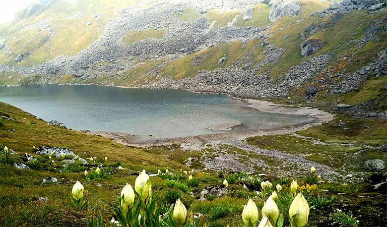 Vasuki Tal Uttarakhand | Vasuki Tal Trek, 5 Best Attractions, How to Reach