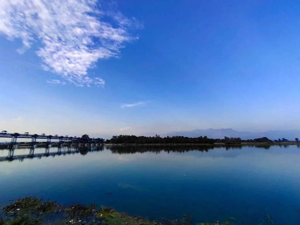 Asan Barrage Bird Sanctuary