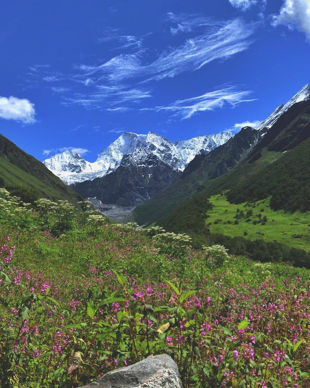 Valley of Flowers The Complete & Best Trekking + Information Guide 2021